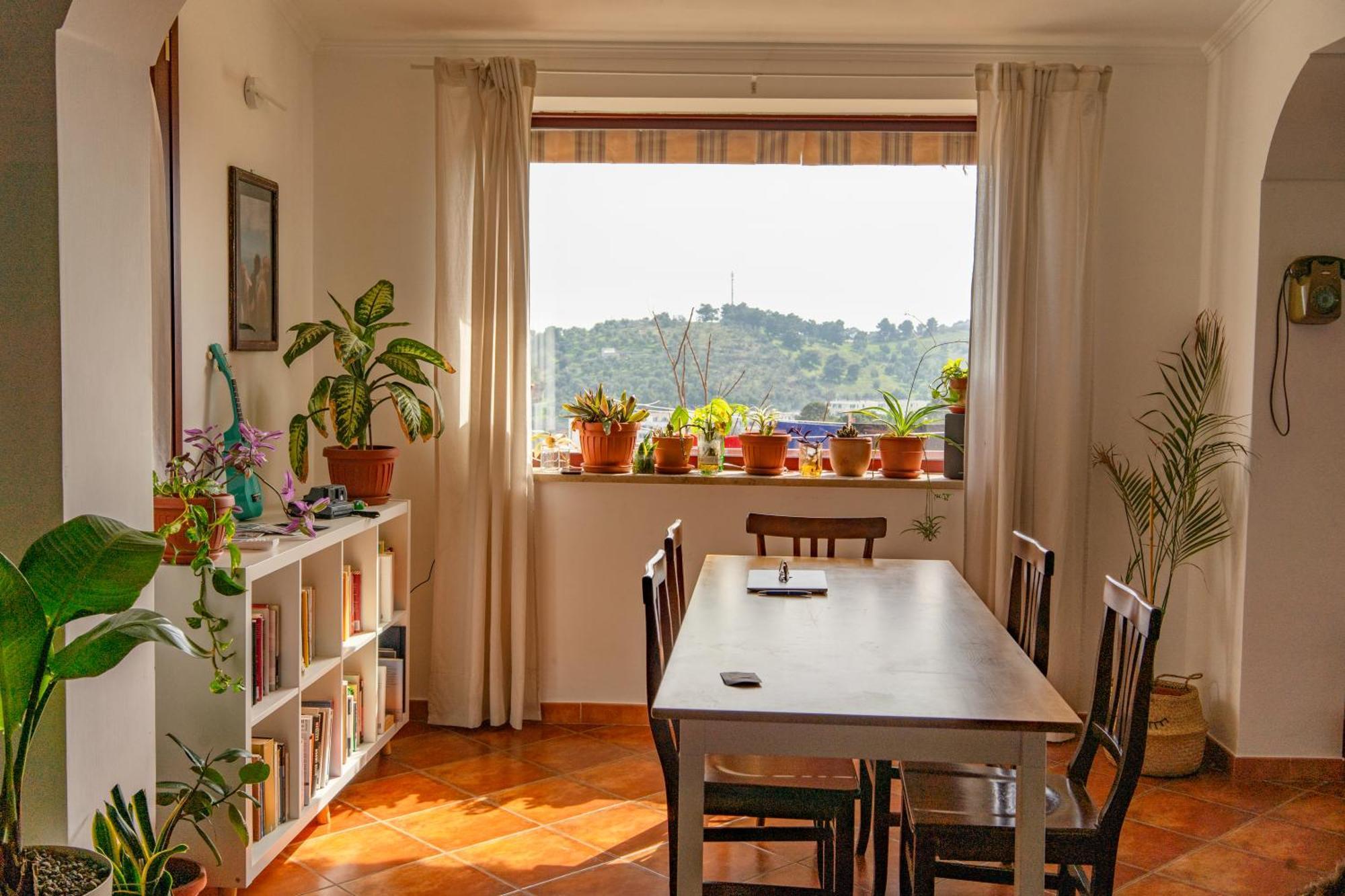Coliving Together Gargano ヴィエステ エクステリア 写真